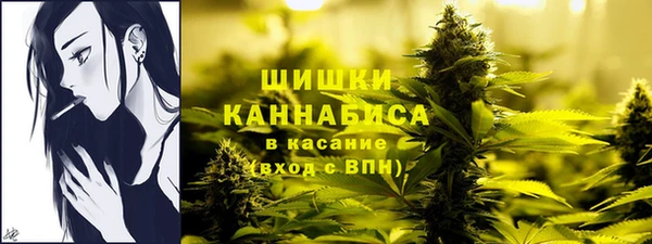 стаф Лагань