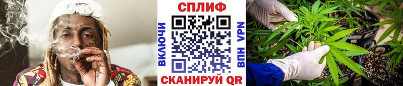 Бошки марихуана планчик  Купить закладки  Березники 